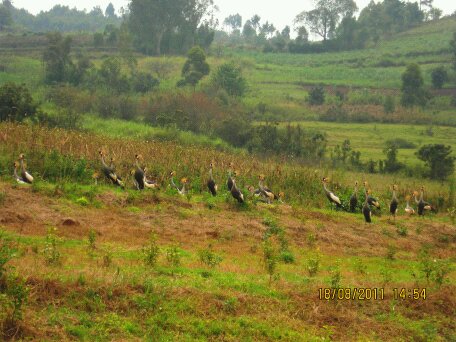 Ancilla Vocational Training College Kenya