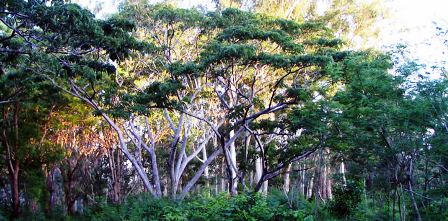 Tsavo East and Tsavo West National Park