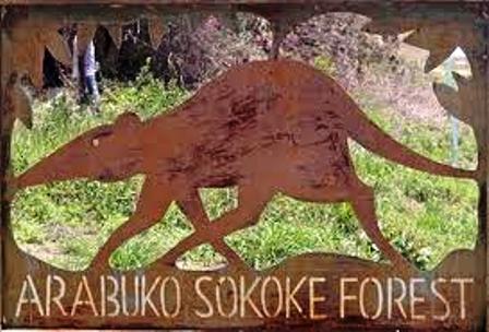 on the Gate to  Arabuko sokoke forest national park