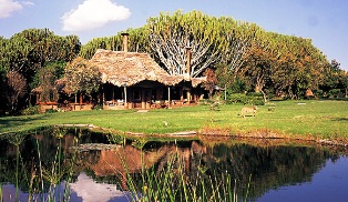 Chui Lodge Naivasha Kenya