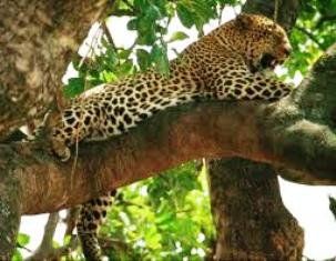 Southern Kenya Tourist Attractions