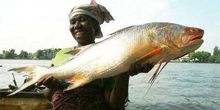Uganda Fish Sector Business Opportunities