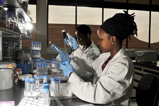 French Institute for Research in Africa