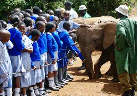 Sheldrick Elephant Orphanage