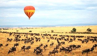 balloon over the masai mara