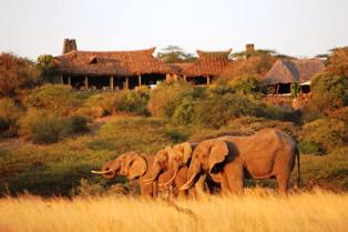 wildlife accommodation and safari lodges in Kenya