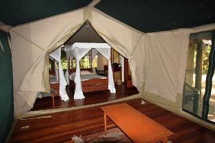 Three Nights air safari to mystical Shaba of Joy's Camp