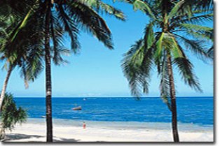 clear waters of mombasa beach town in kenya