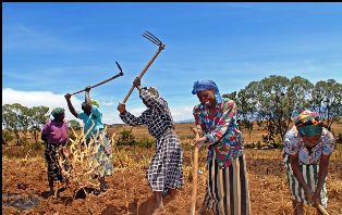 Kikuyu People in Kenya