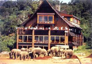 8 Days Kenya Safari to Samburu, Aberdare, Lake Nakuru, Lake Naivasha and Masai Mara