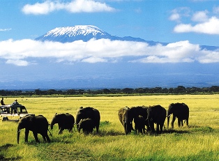 Amboseli national park on the shadow of Mt Kilimanjaro