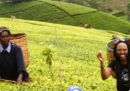 The Kisii are regarded as one of the most economically active communities in Kenya, blessed with rolling tea estates