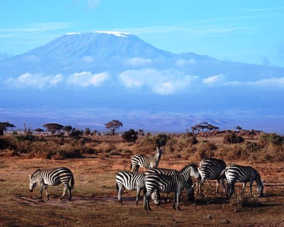 Kenya Tour to amboseli national park