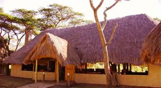 Kigio Wildlife Camp in kenya