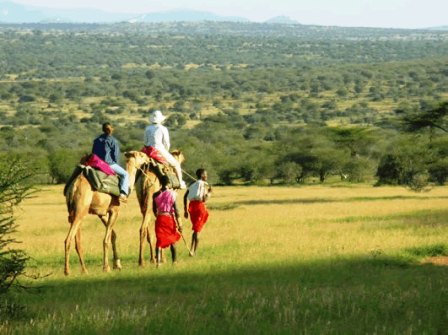 Camel back safaris in Laikipia Game Reserve