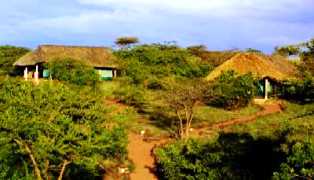 Lewa Safari Camp  in Lewa Conservation Area Kenya Rift Valley