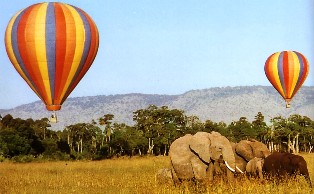 Two Days Masai Mara Safari with Siana Springs Tented Camp