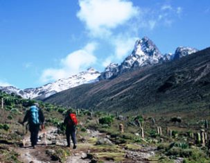 Climbing  Mt Kenya in the National Park