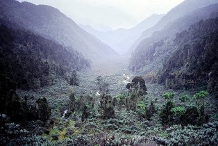 The land of the bakonzo people in uganda