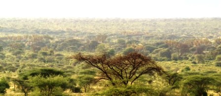 Attractions and Wildlife of Mwingi National Reserve