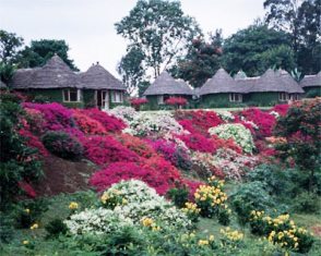 Mountain Village Lodge