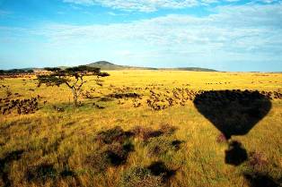 kenya wildlife safaris in balon