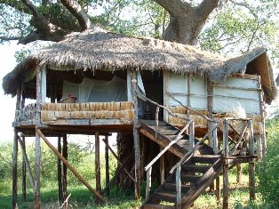 Tarangire Tree Tops lodge