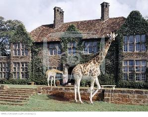 Nairobi Giraffe Center