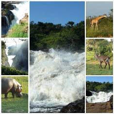 Murchison Falls national park in uganda