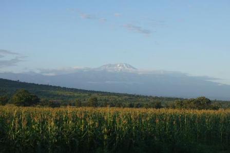 the scenery of uganda