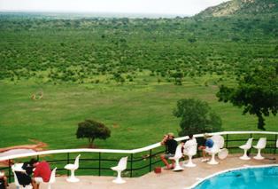 our lodge in voi town of kenya  called voi wildlife lodge